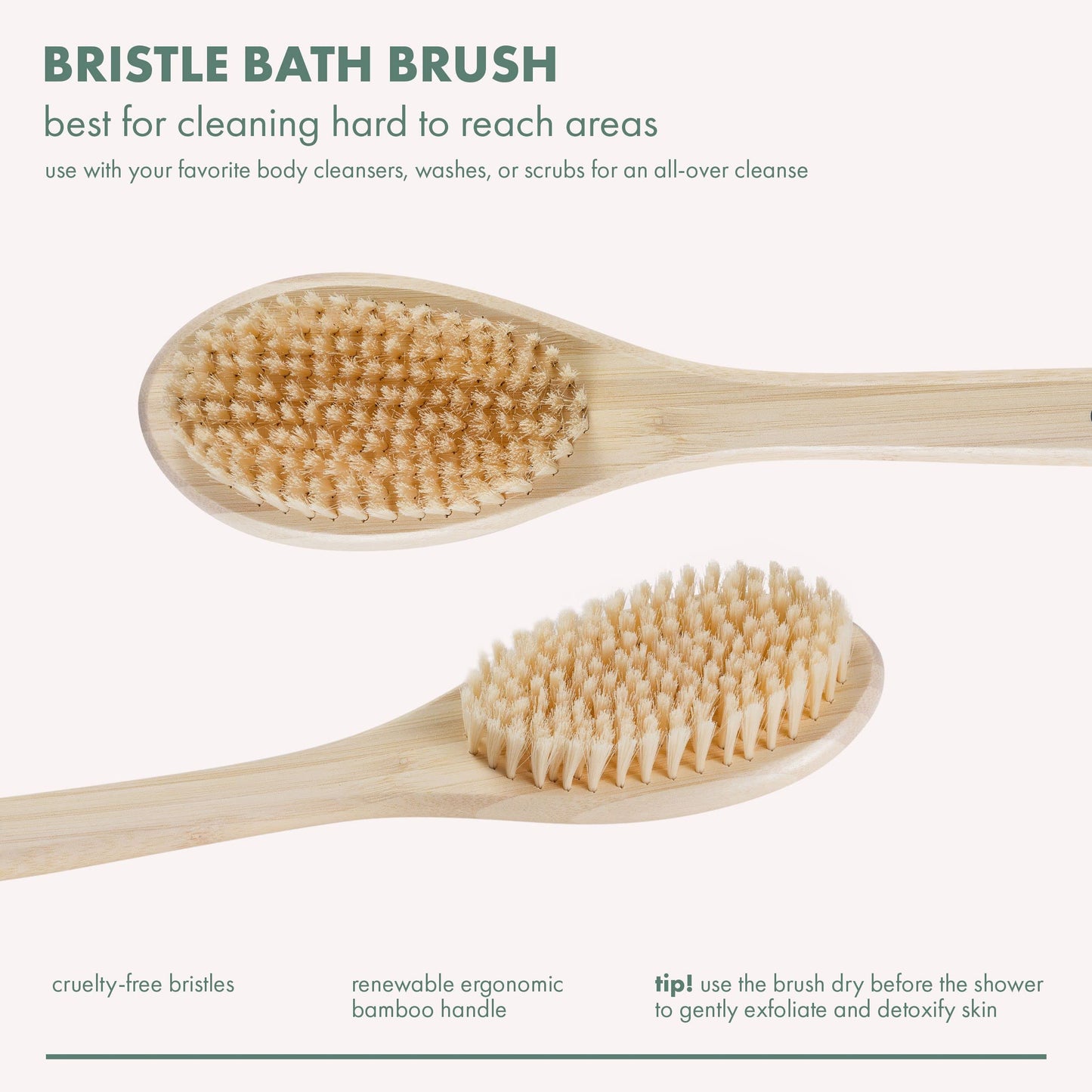 EcoTools Bath Bristle Brush, Bath Brush with Long Handle, Cleanse Back & Hard-to-Reach Areas, Eco Friendly Shower Brush for Exfoliating, Cruelty Free Beauty & Personal Care EcoTools