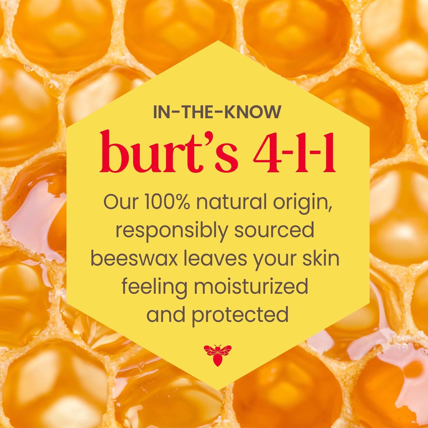 Burt's Bees Lip Tint Balm with Long Lasting 2 in 1 Duo Tinted Balm Formula, Color Infused with Deeply Hydrating Shea Butter for a Natural Looking Beauty and Personal Care Burt's Bees