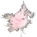 Touch of Nature Feather Turkey Flat Chandelle Clip Light Pink 1pc Beauty & Personal Care Touch of Nature