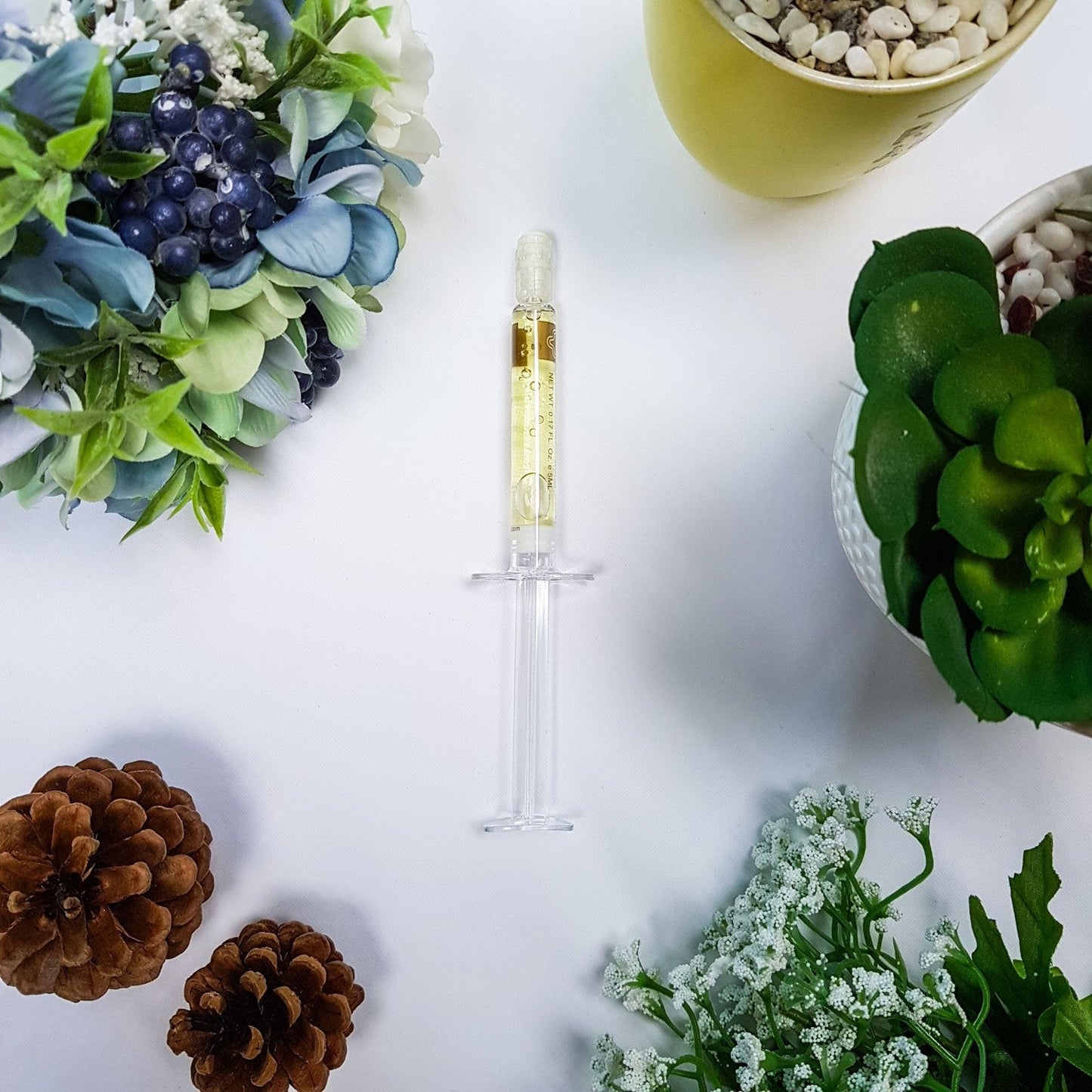 MO Clinical Siberian Plant Peptide Boost for All Skin Types, 10 Vials, 5 ml Each Vial Beauty & Personal Care MO Clinical