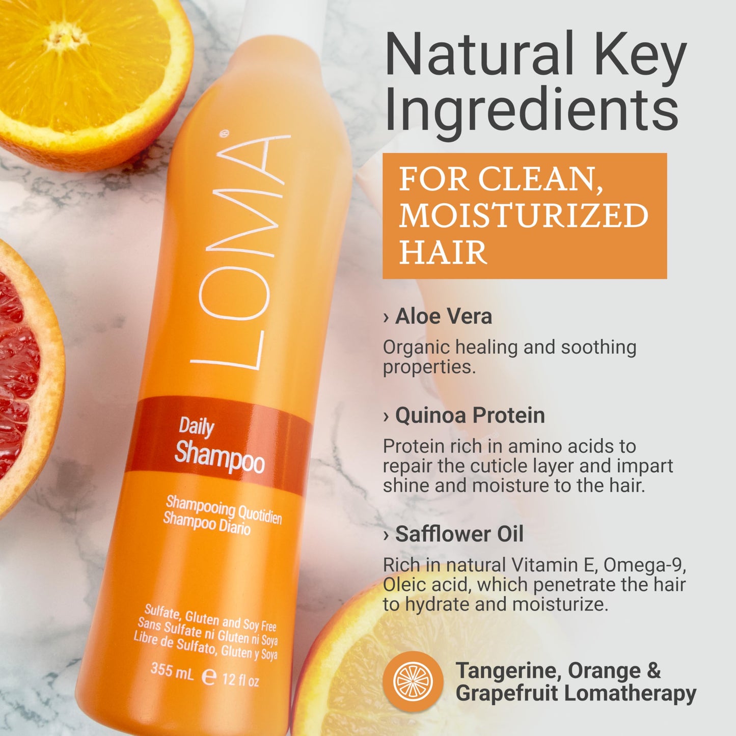 Loma Daily Shampoo 12 Ounce (Clear Formula) Beauty & Personal Care Loma
