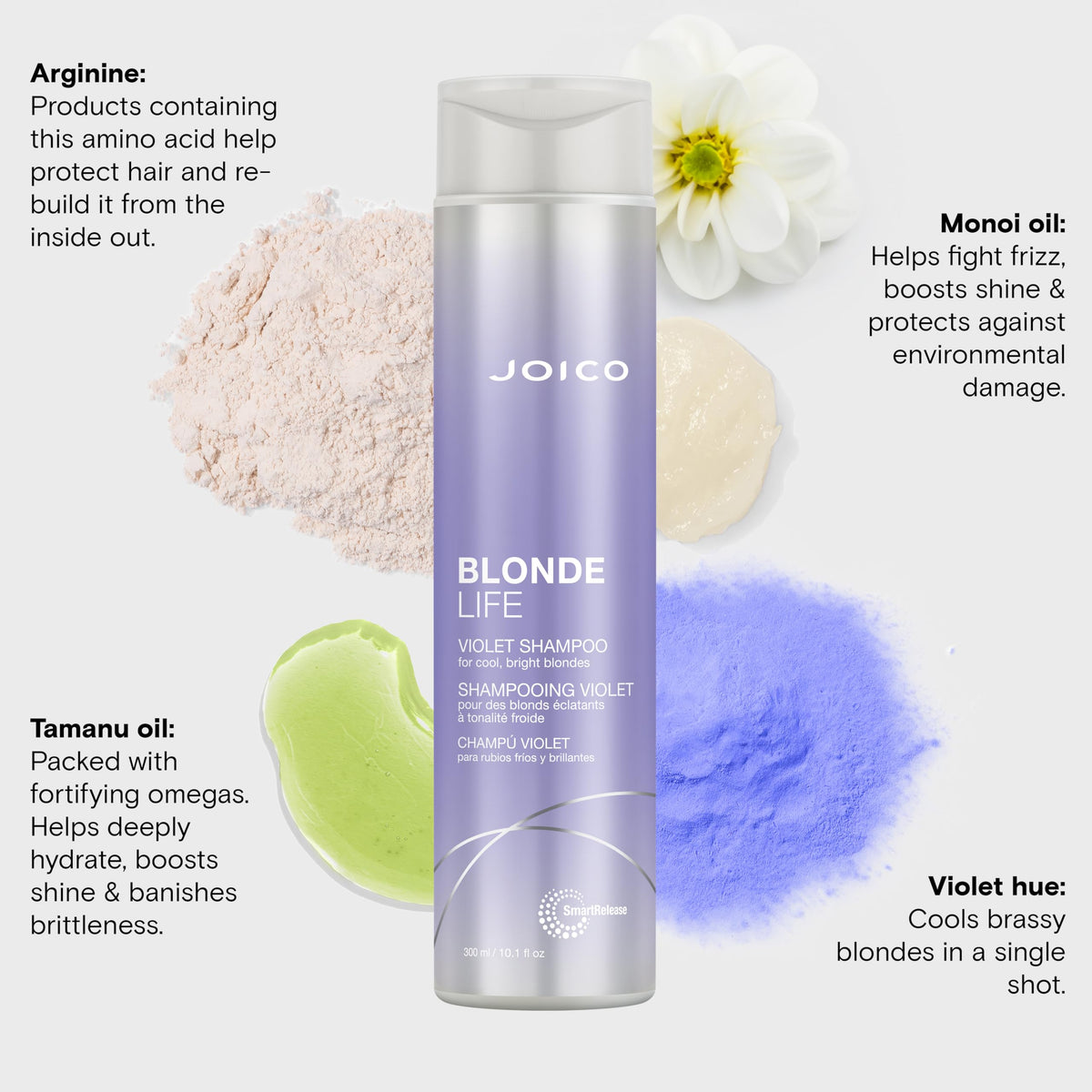 Joico Blonde Life Violet Shampoo | For Cool & Bright Blonde Hair | Neutralize Brassy Tones | Banish Yellow Tones | Boost Shine | Sulfate Free | Beauty & Personal Care Joico