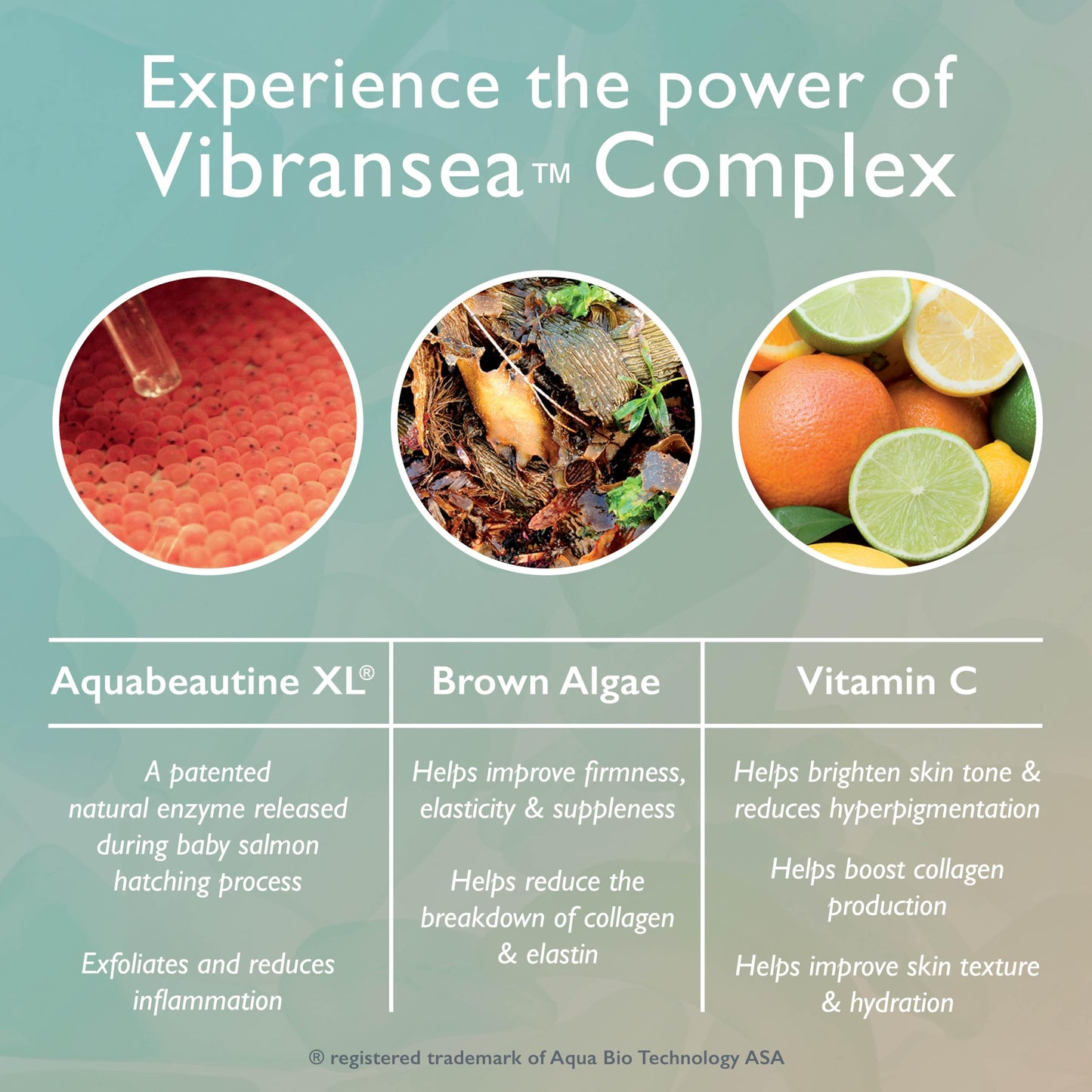 Restorsea Revitalizing Eye Cream - Reduces Dark Circles & Crow’s Feet - Anti-Aging Eye Treatment with Vibransea™ Complex, Hesperidin & Oat Extract Beauty & Personal Care Restorsea