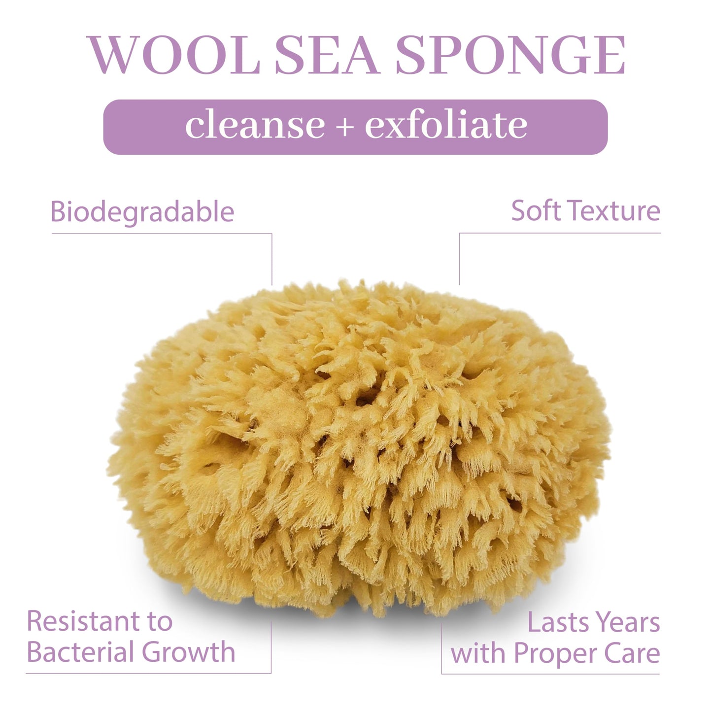 Baudelaire Sea Wool Sponge 5.5" - Natural Sea Sponge for Bathing and Shower - Durable, Sustainable & Environment-Friendly Loofah for Body Beauty & Personal Care Baudelaire