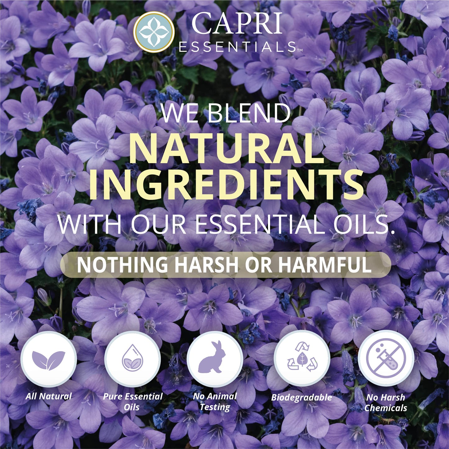 CAPRI ESSENTIALS Hand Soap Liquid, Natural Household Cleaning Supplies, Gentle Plant Based Aromatic Hand Wash with a Blend of Essential Oils, Removes Beauty & Personal Care CAPRI ESSENTIALS