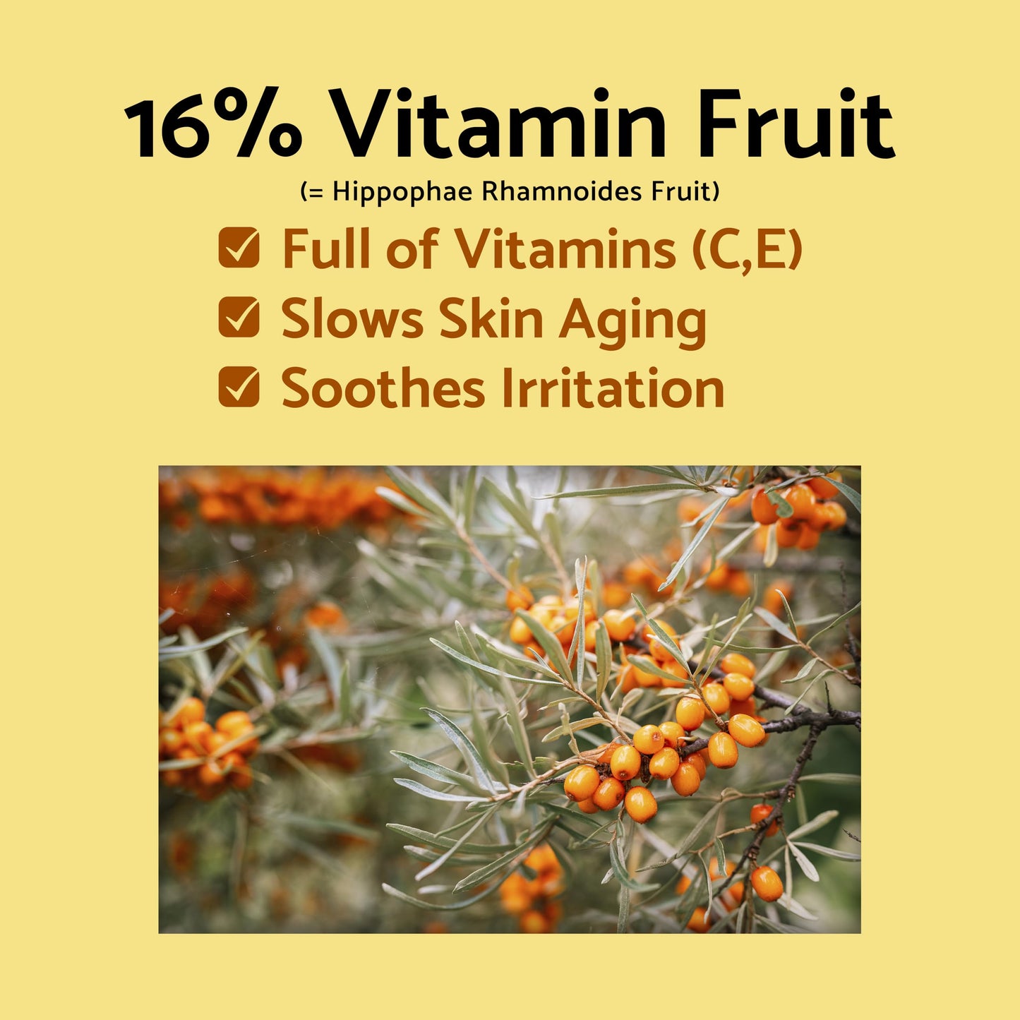 IUNIK Propolis Vitamin Glow Sleeping Mask Night Moisturizer Cream 2.03 Fl Oz Overnight Moisturizing cream Tea Tree Centella Asiatica Extracts Beauty & Personal Care IUNIK