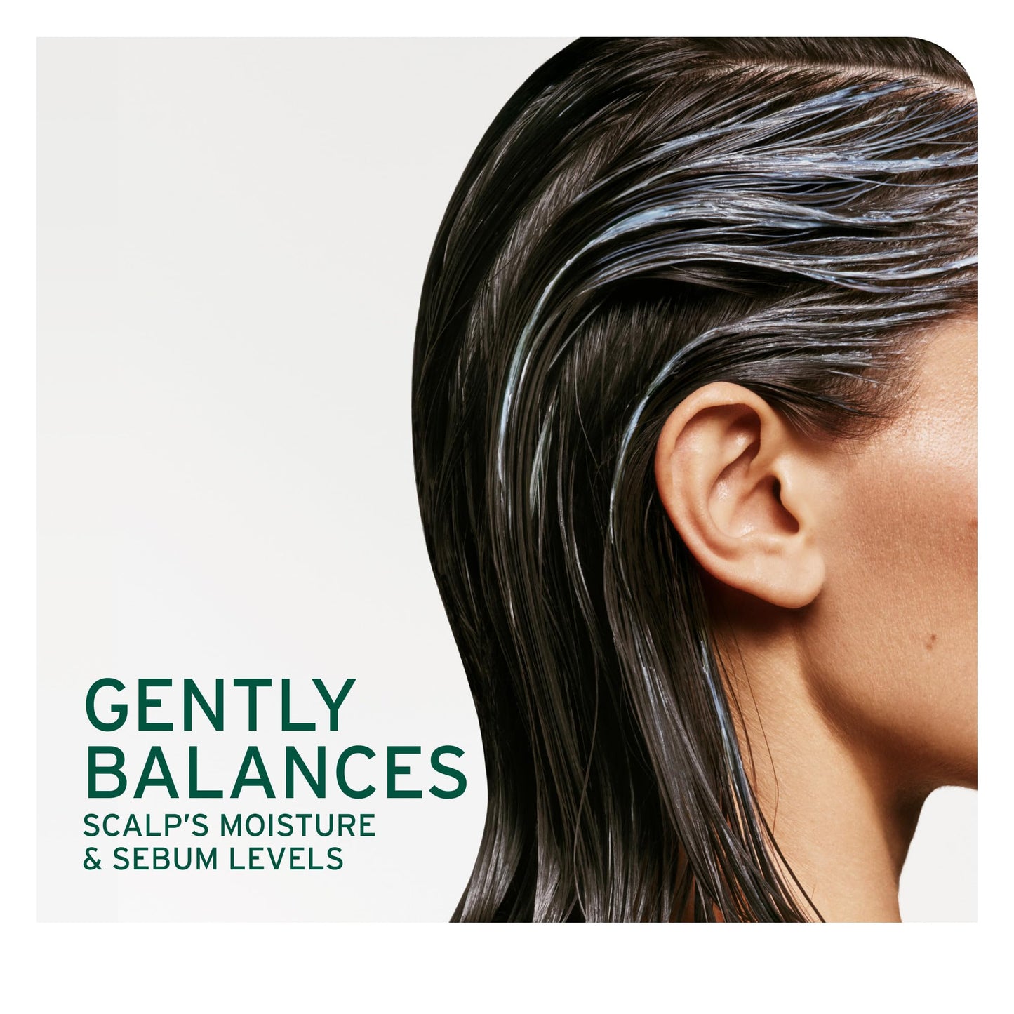 Biolage Cool Mint Shampoo - Balancing Shampoo for Oily Scalp, Gently Cleanses, Refreshes & Helps Balance, Mint & Glycerin, Vegan & Paraben-Free, 13.5 Beauty & Personal Care Biolage