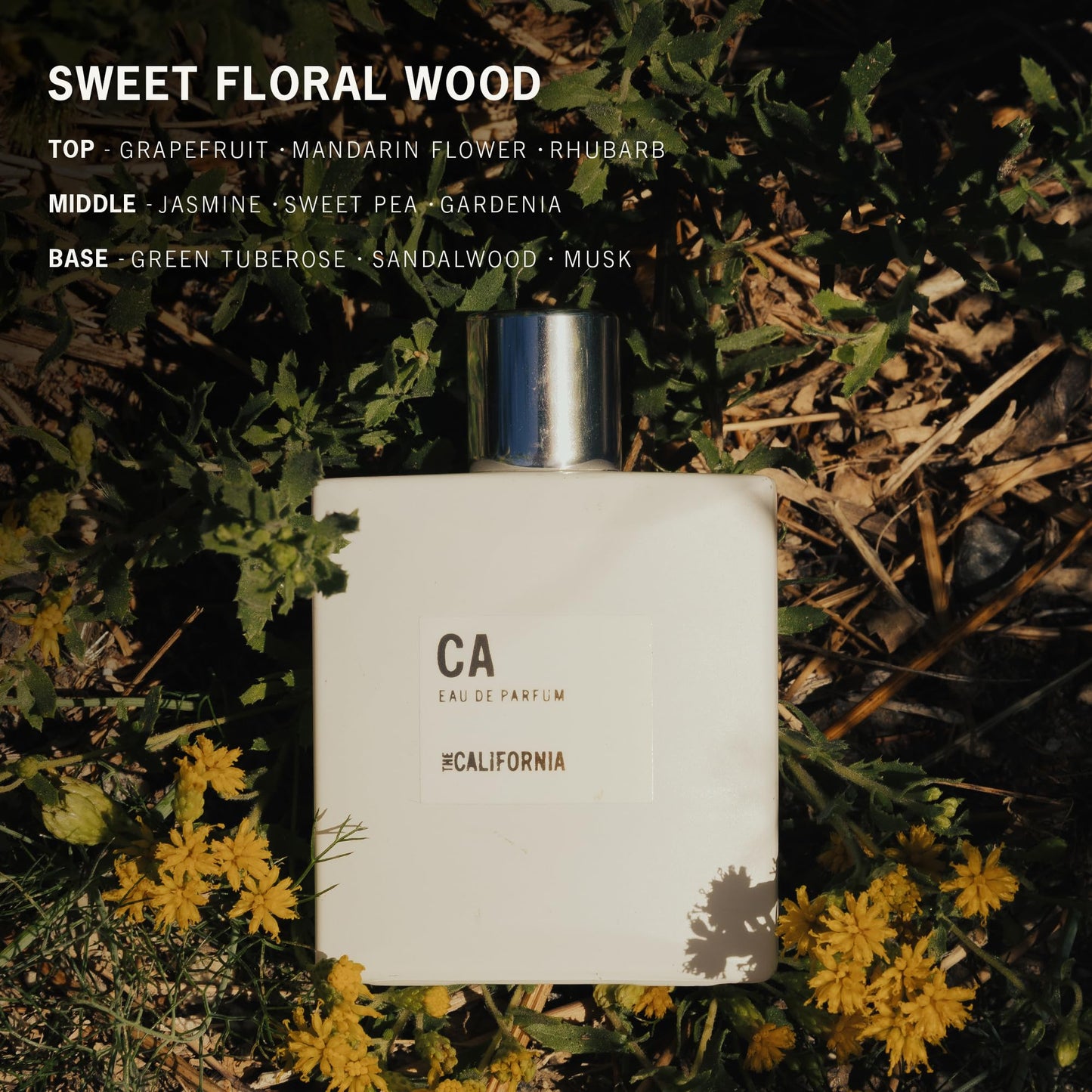 APOTHIA CALIFORNIA | Eau de Parfum | Jasmine, Sweat Pea, Tuberose, Sandalwood | Clean, Long Lasting Perfume for Women | Non-Toxic, Cruelty Free Beauty & Personal Care APOTHIA