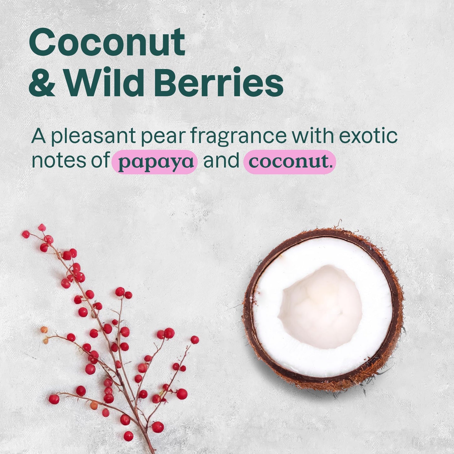 ATTITUDE Plastic-Free Natural Deodorant, Aluminum-Free, Baking Soda Formula, EWG Verified, Vegan, Long-Lasting Odor Protection, Coconut & Wild Beauty and Personal Care ATTITUDE