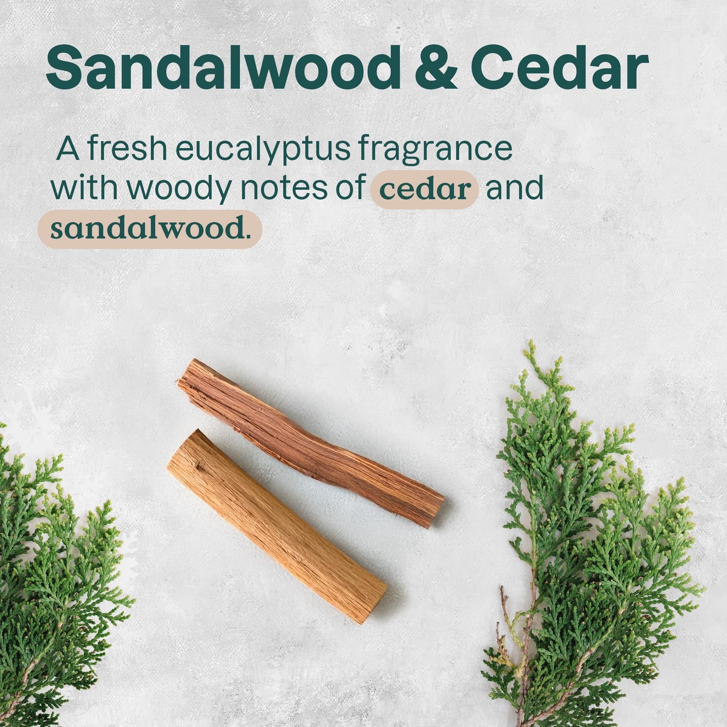 ATTITUDE Plastic-Free Natural Deodorant, Aluminum-Free, Baking Soda Formula, EWG Verified, Vegan, Long-Lasting Odor Protection,Sandalwood & Cedar Beauty and Personal Care ATTITUDE