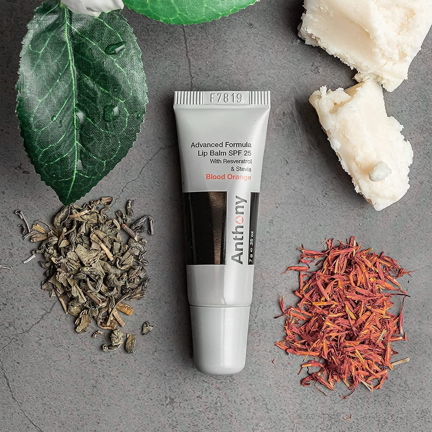 Anthony 25 SPF Lip Balm with Sunscreen for Lips - Contains Green Tea Extract, Shea Butter & Vitamin E - Moisturizing Repair Care Treatment for Chapped Beauty & Personal Care Anthony