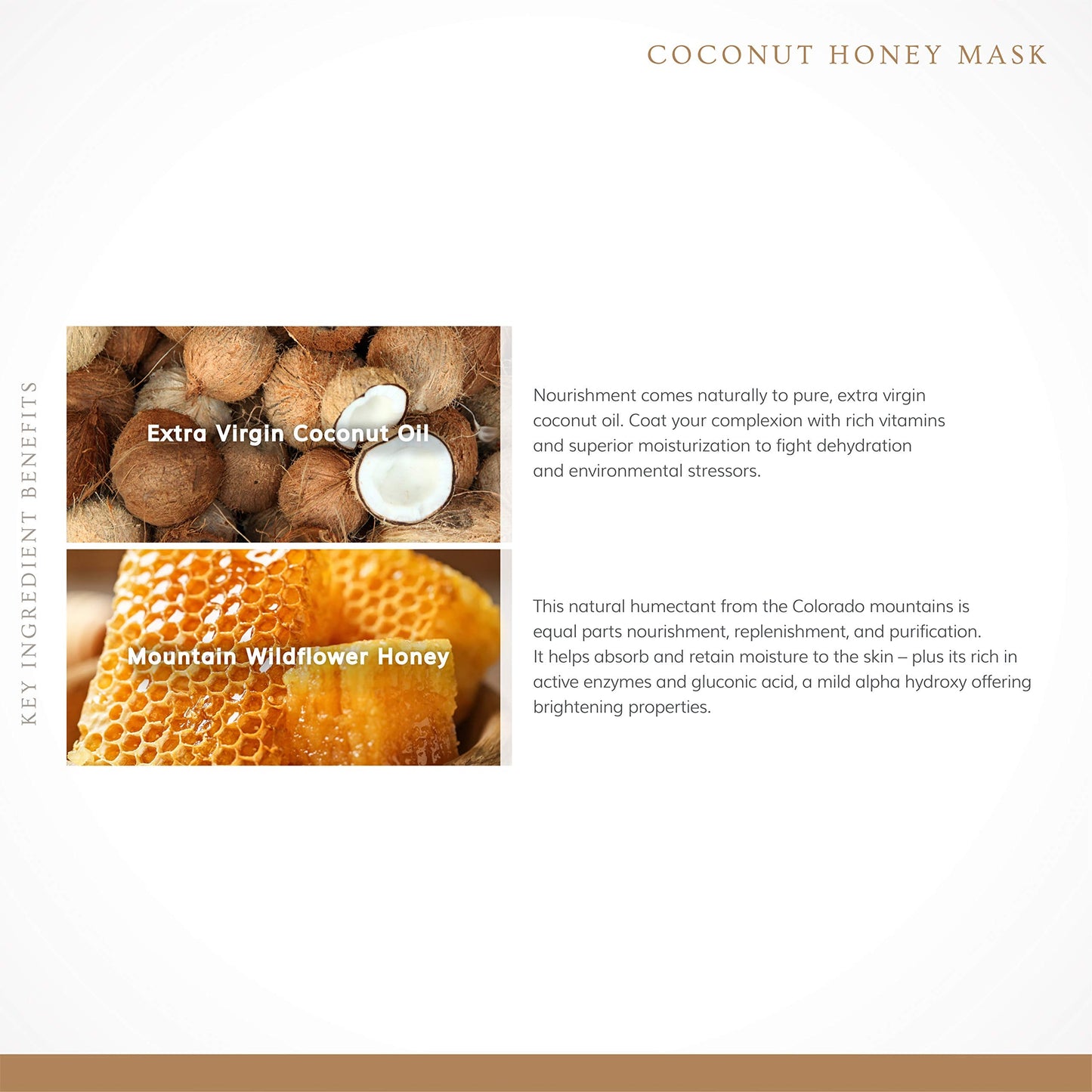 Annmarie Skin Care Coconut Honey Mask - With Extra Virgin Coconut Oil & Mountain Wildflower Honey, Moisturizing & Exfoliating Mask for Dull, Dry Beauty & Personal Care annmarie