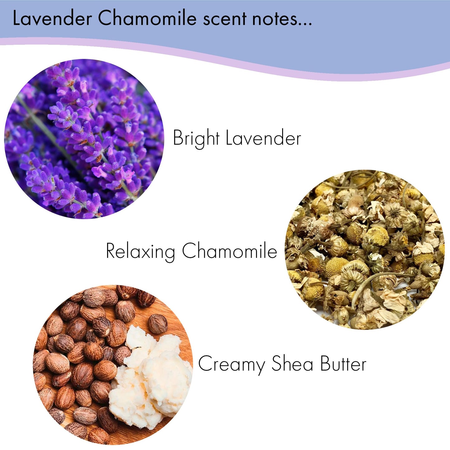 Floral Soap Sampler-Set of 6- Enriched with Shea Butter, Essential Oils, Natural Extracts (African Violet, Black Currant, Almond Butter, Lavender Beauty & Personal Care Greenwich Bay