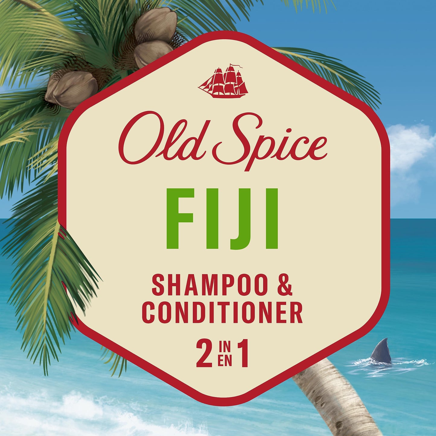 Old Spice Fiji 2-in-1 Shampoo and Conditioner for Men, 22 Fl Oz Beauty & Personal Care Old Spice