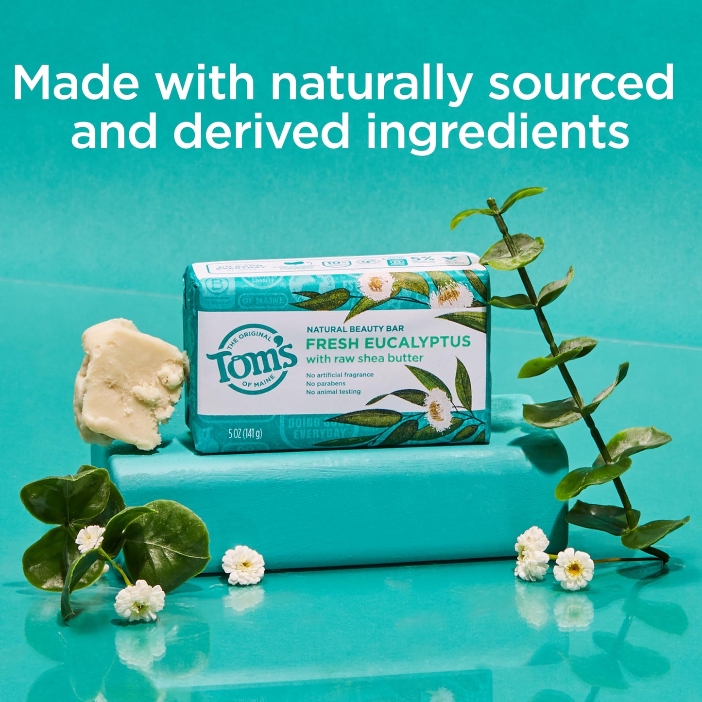 Tom’s of Maine Moisturizing Natural Beauty Bar Soap For Women and Men, Fresh Eucalyptus, 5 oz Bar (Pack of 6) Beauty & Personal Care Tom's of Maine