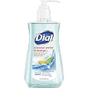 Dial Liquid Hand Soap, Coconut Water & Mango, 7.5 Ounce Beauty & Personal Care Dial
