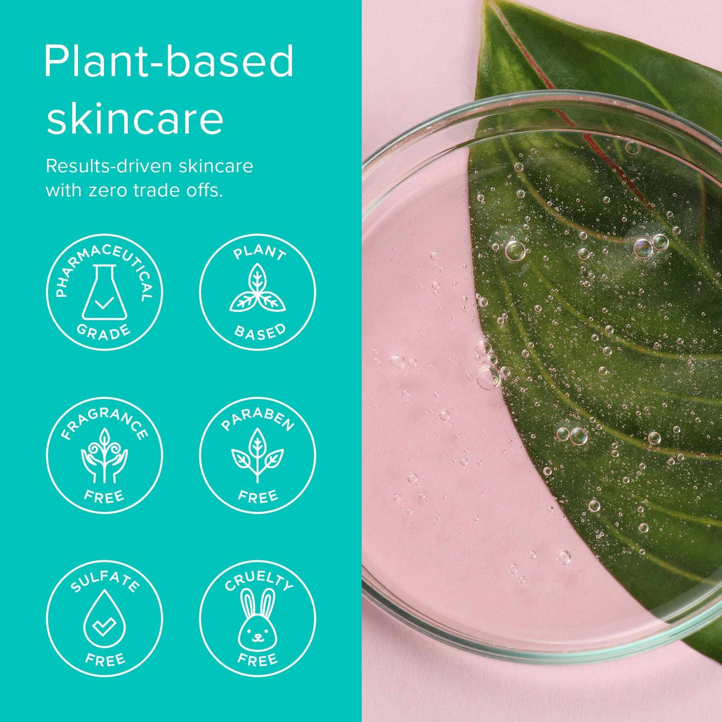 ClarityRx Cleanse Daily Face Wash, 6 Fl Oz, Vitamin-Infused Natural, Plant-Based Moisturizing Facial Cleanser with Vitamins & Antioxidants, Deep Beauty & Personal Care ClarityRx