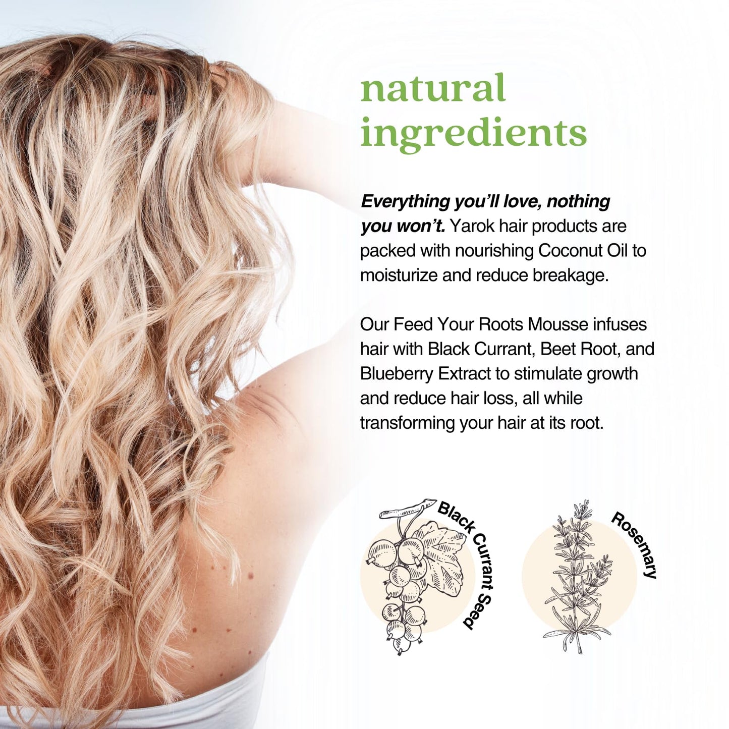 Yarok - Feed Your Roots Mousse - Volumize, Texturize & Transform - Volume Enhancer - Transform Curls - Non-Sticky & Non-Crunchy Formula - 100% Vegan Beauty & Personal Care YAROK FOOD FOR YOUR HEAD. GOOD FOR THE EARTH.