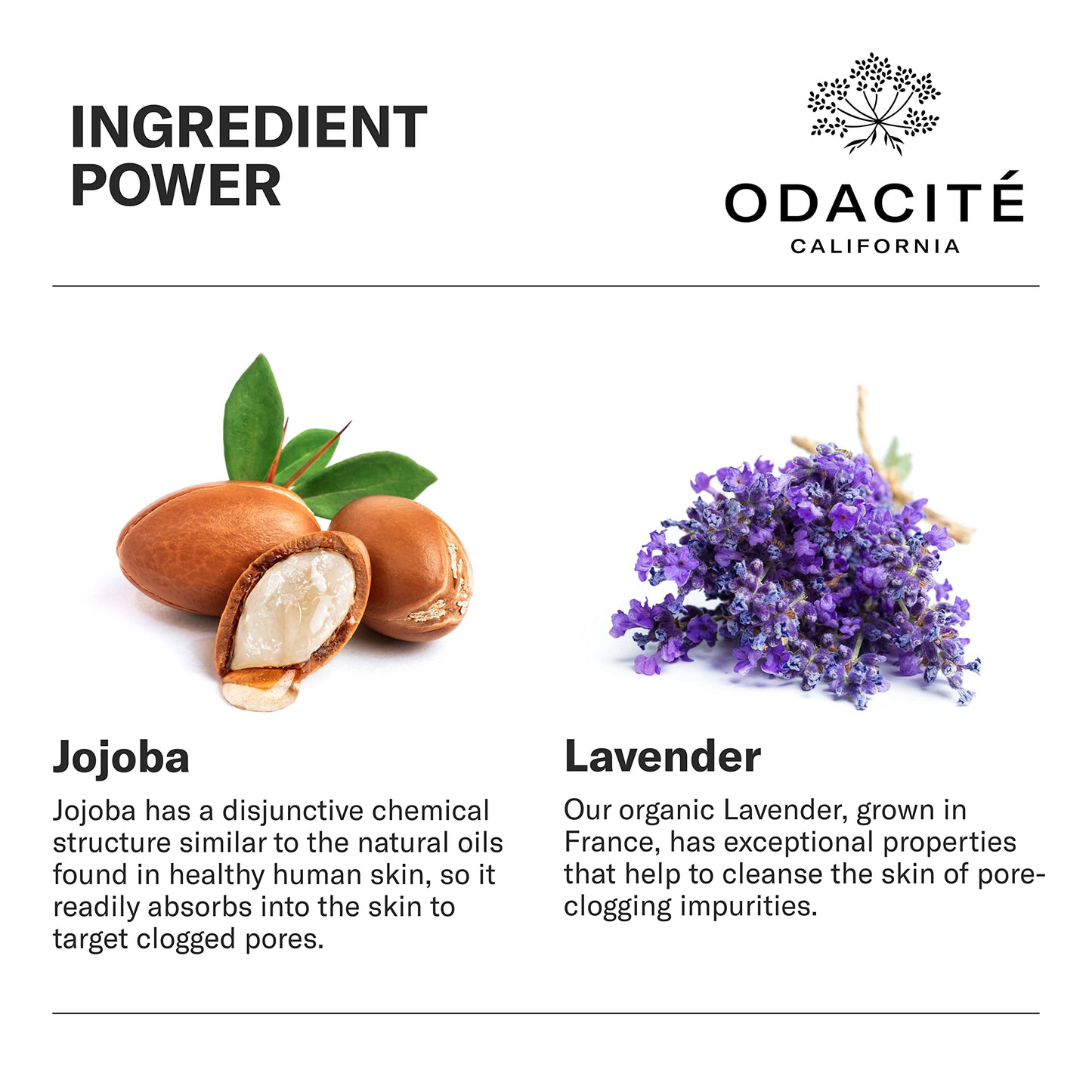 Odacité Acne Serum Concentrate for Face, Pore Cleanser Facial Oil for Skincare with Jojoba + Lavender - Clogged Pores Facial Serum Concentrate Beauty & Personal Care ODACITE