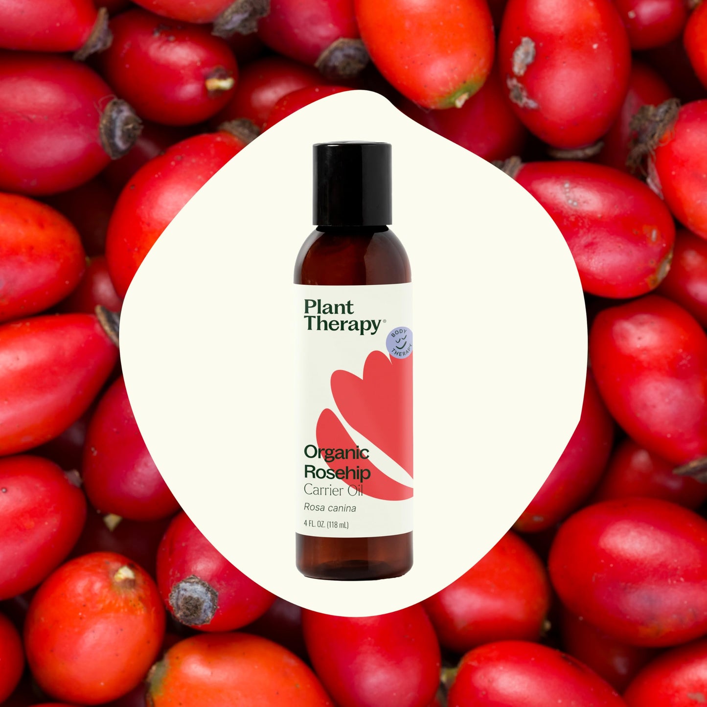Plant Therapy Organic Rosehip Carrier Oil 4 oz For Skin and Hair Cold Pressed Supports Skin Hydration Fine Lines & Wrinkles Extra Virgin, Vitamins A Beauty & Personal Care Plant Therapy