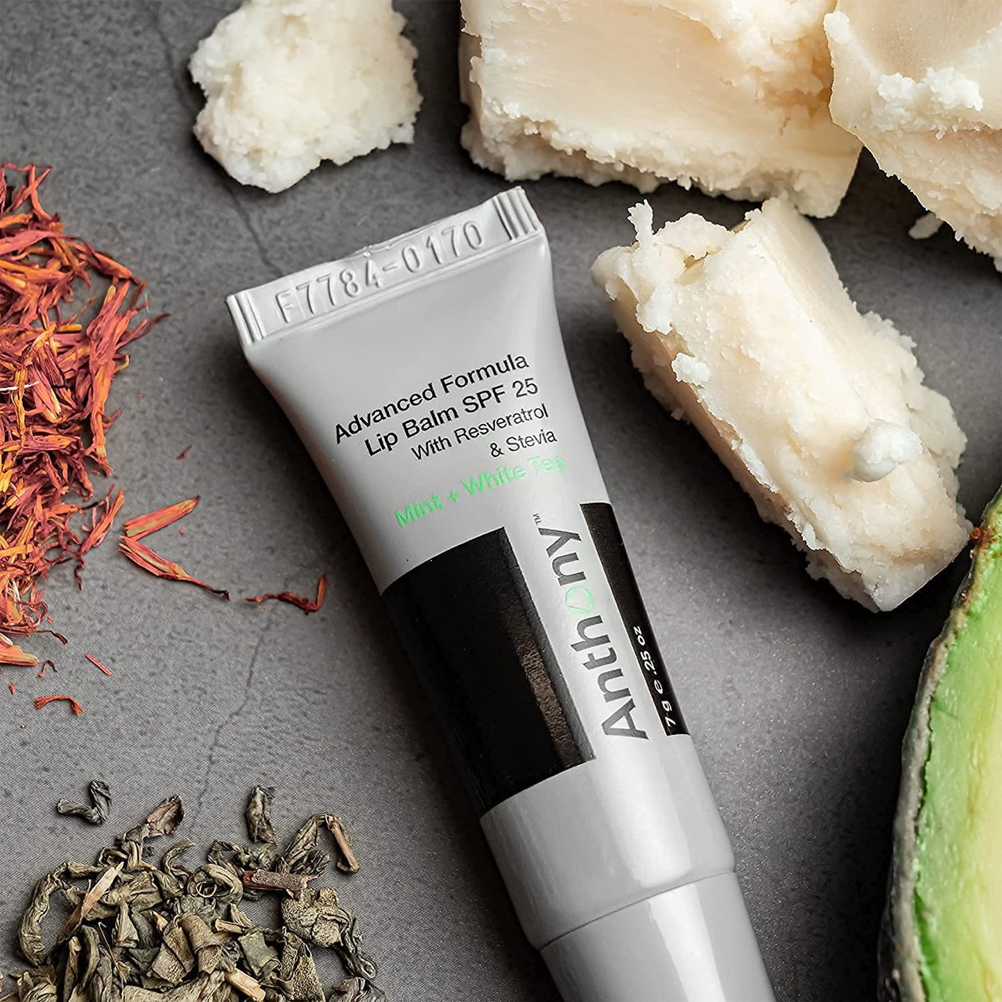 Anthony 25 SPF Lip Balm with Sunscreen for Lips - Contains Green Tea Extract, Shea Butter & Vitamin E - Moisturizing Repair Care Treatment for Chapped Beauty & Personal Care Anthony