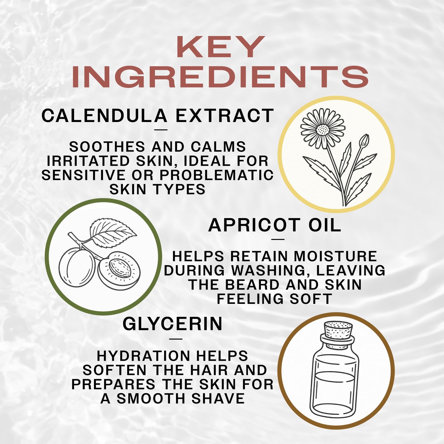 REUZEL Clean & Fresh Beard Wash, Softens Beard, Cleanses and Moisturizes, Gentle, Non-Comedogenic, Vegan Formula, Light Citrus Mint Scent, For All Beauty & Personal Care REUZEL