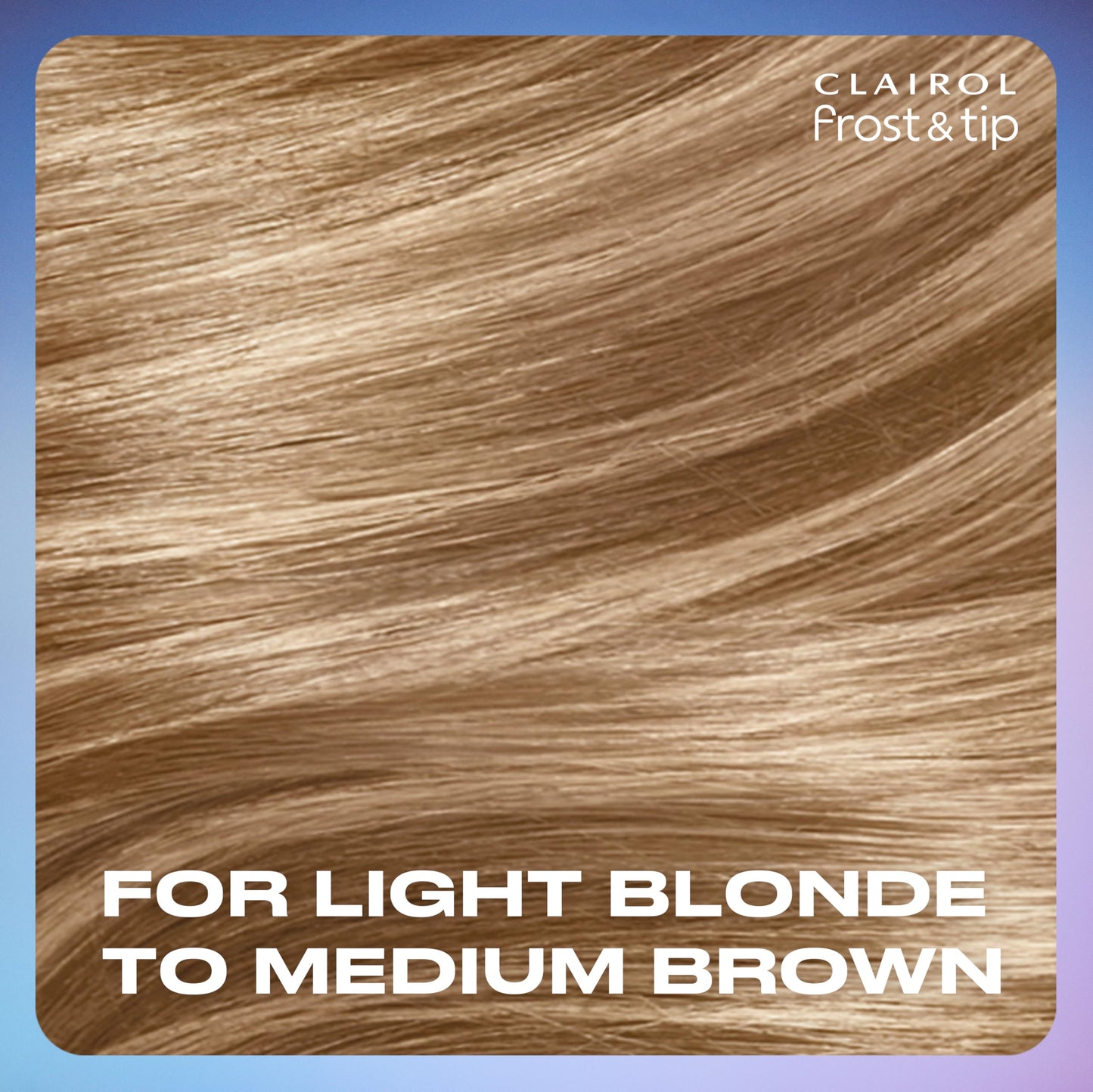 Clairol Nice'n Easy Frost & Tip Original Hair Dye, Light Blonde to Medium Brown Hair Color, Pack of 3 Beauty and Personal Care Clairol