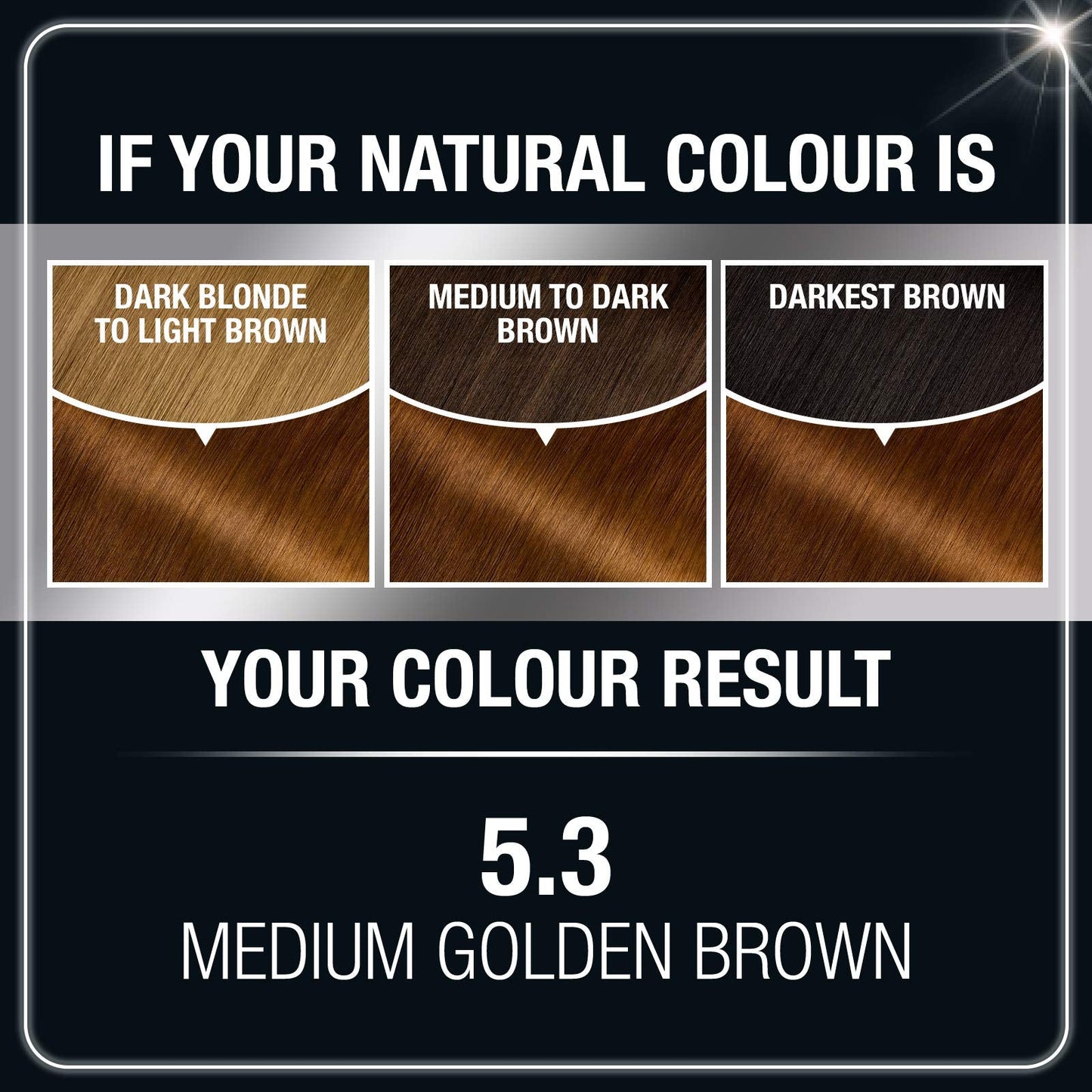 Garnier Olia Ammonia-Free Brilliant Color Oil-Rich Permanent Hair Color, 5.3 Medium Golden Brown (Pack of 1) Brown Hair Dye (Packaging May Vary) Beauty & Personal Care Garnier