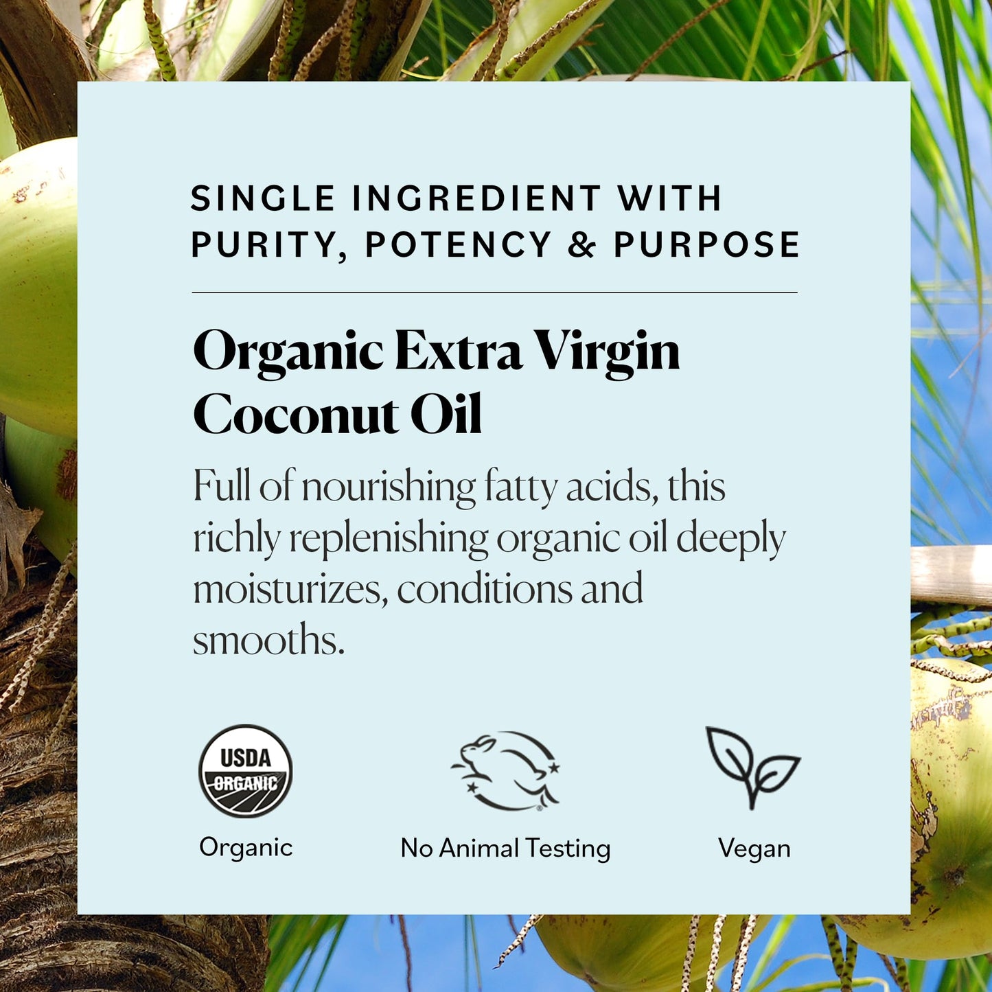 Sky Organics - Multipurpose Organic Coconut Oil for Skin & Hair w Ebook, 16.9 fl oz - Extra Virgin Hair Oil & Body Moisturizer - Vitamins Beauty & Personal Care Sky Organics