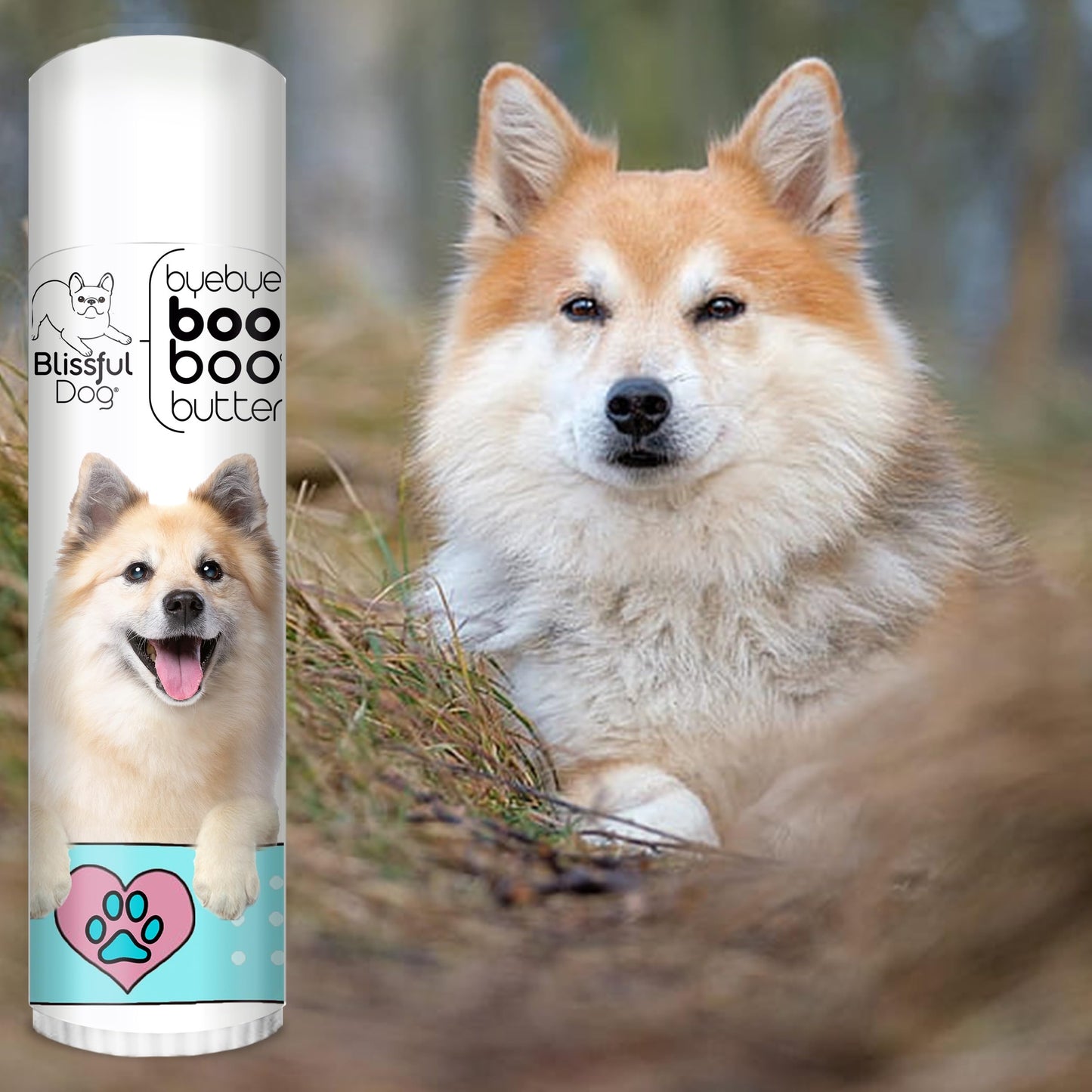 The Blissful Dog Icelandic Sheepdog Boo Boo Butter, 0.50 Ounce Beauty and Personal Care The Blissful Dog