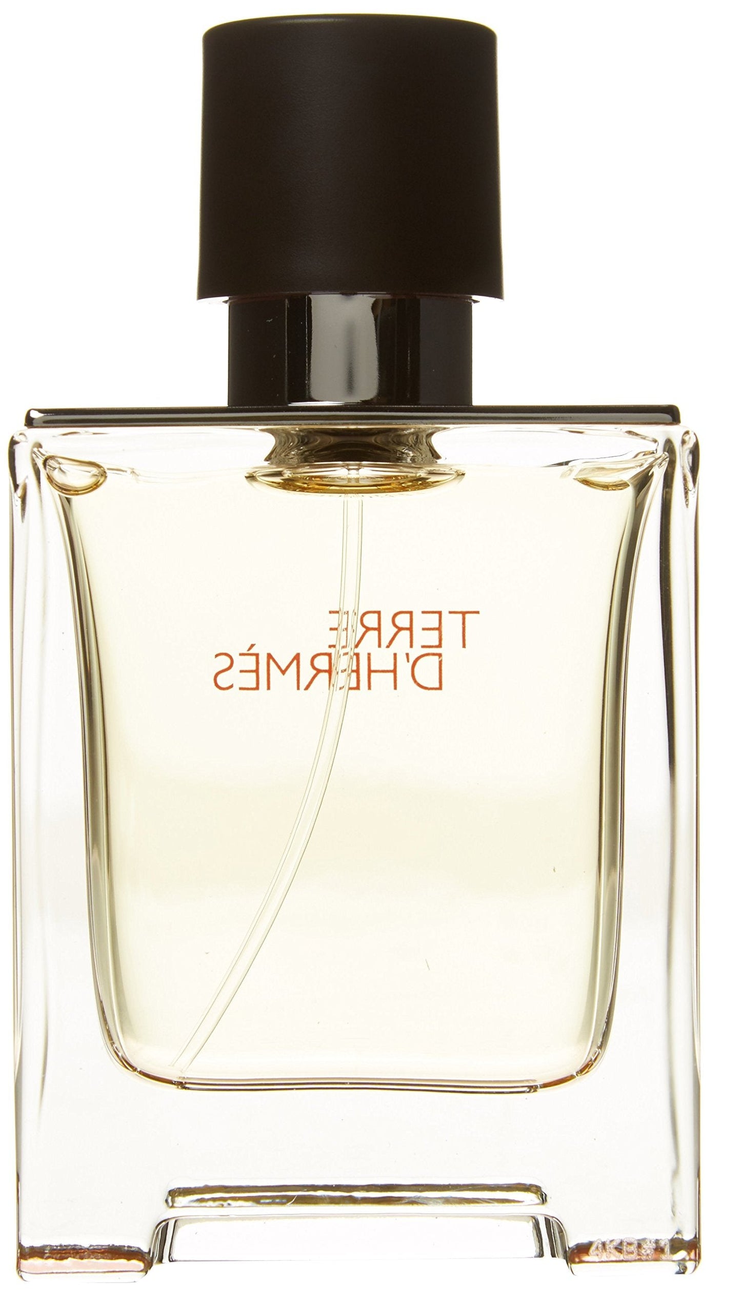 Hermes Terre D'hermes Eau de Toilette Spray, 1.7 Fluid Ounce Beauty & Personal Care Hermès