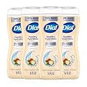 Dial Body Wash, Healthy Hydration, Shea Butter Extract + Vitamin E, 16 fl oz (Pack of 4), Gentle, Leaves Skin Feeling Soft In 1 Shower Beauty & Personal Care Dial
