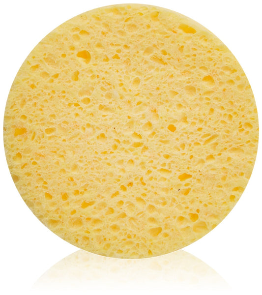 FantaSea Cellulose Cleansing Sponge Bags, 12 Count, Pack of 2 Beauty and Personal Care Fantasea