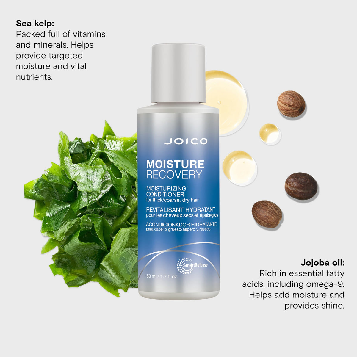 Joico Moisture Recovery Moisturizing Conditioner | For Thick, Coarse, Dry Hair | Restore Moisture, Smoothness, Strength, & Elasticity | Reduce Beauty & Personal Care Joico