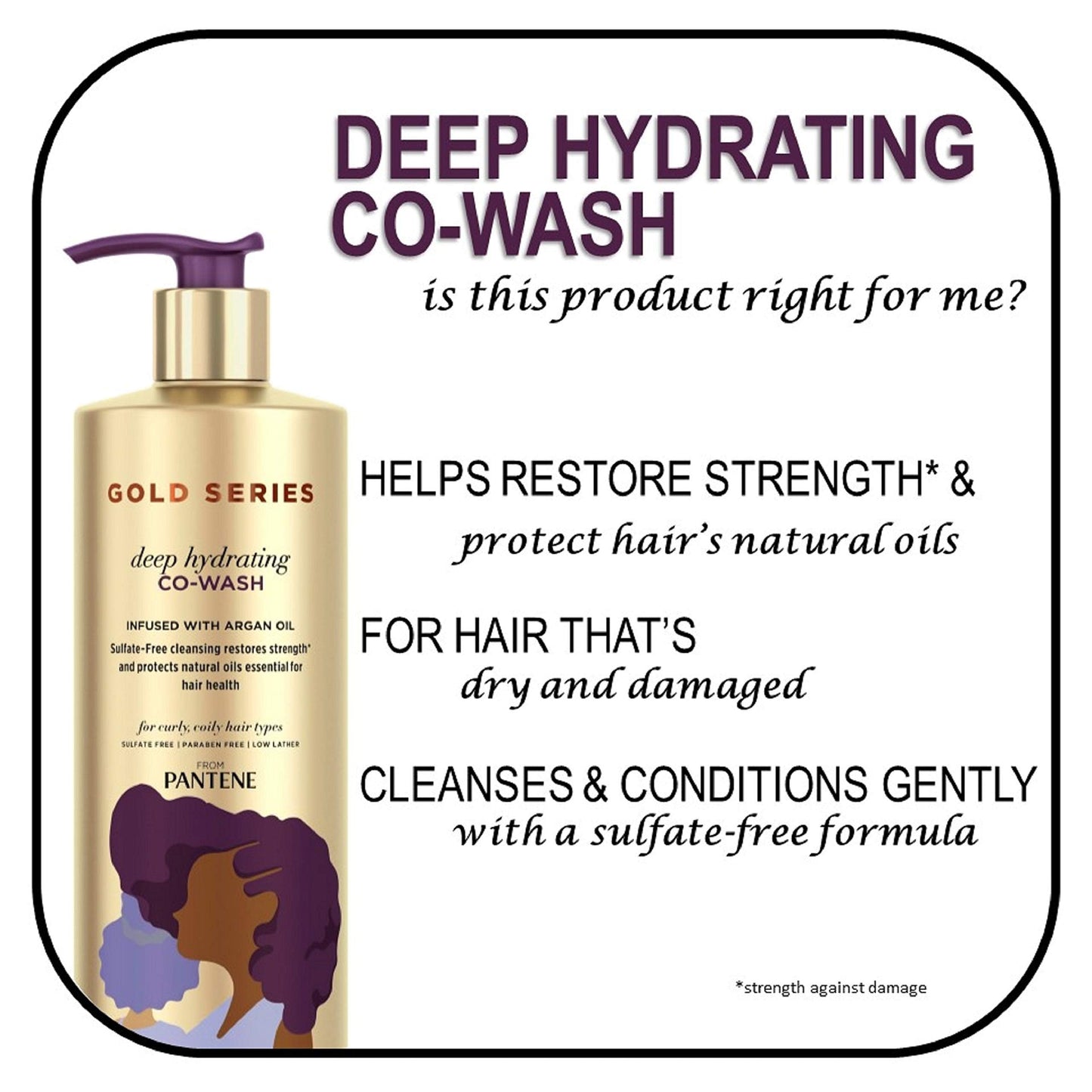 Pantene Gold Series from Sulfate Free Deep Hydrating with Argan Oil for Curly Coily Hair, Co-Wash, 15.2 Fl Oz (Packaging May Vary) Beauty & Personal Care Pantene