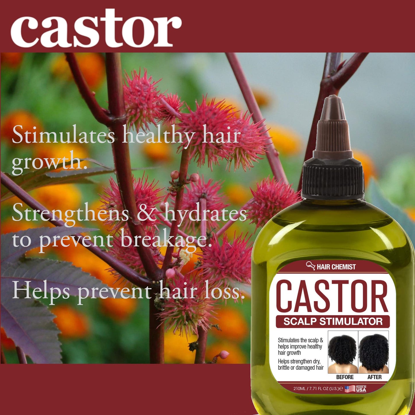 Hair Chemist Pro-Growth Castor Oil Scalp Stimulator 7.1 oz. Beauty & Personal Care Hair Chemist