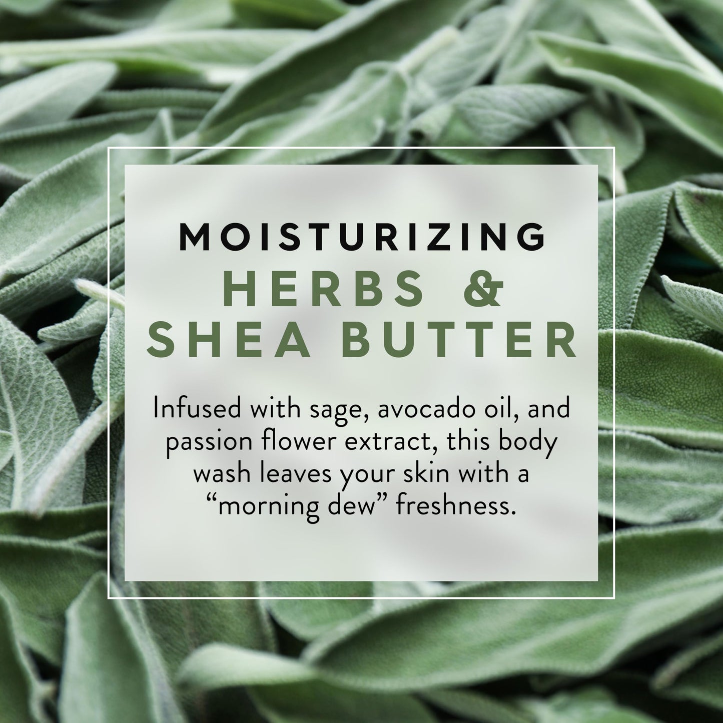 JASON Herbs and Shea Butter Moisturizing Body Wash, For a Gentle Feeling Clean, 30 Fluid Ounces Beauty & Personal Care JASON