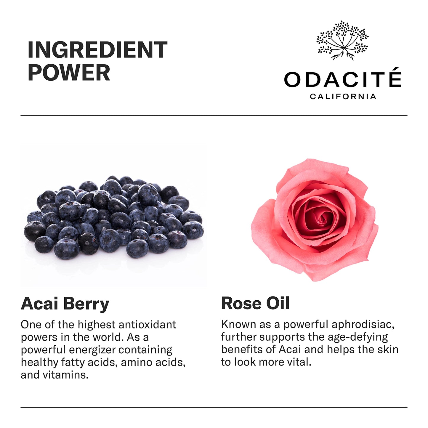 Odacité Anti Aging Serum Concentrate with Acai + Rose - Revitalizing Facial Oil, Youthful Glow, Improves Skin Tone, Wrinkles, and Firmness, Age Beauty & Personal Care ODACITE
