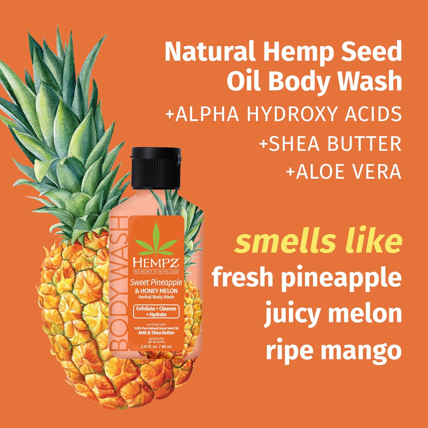 Hempz NEW Mini Body Wash, Sweet Pineapple & Honey Melon Travel Size Shower Gel, 2.25 oz. Beauty & Personal Care Hempz