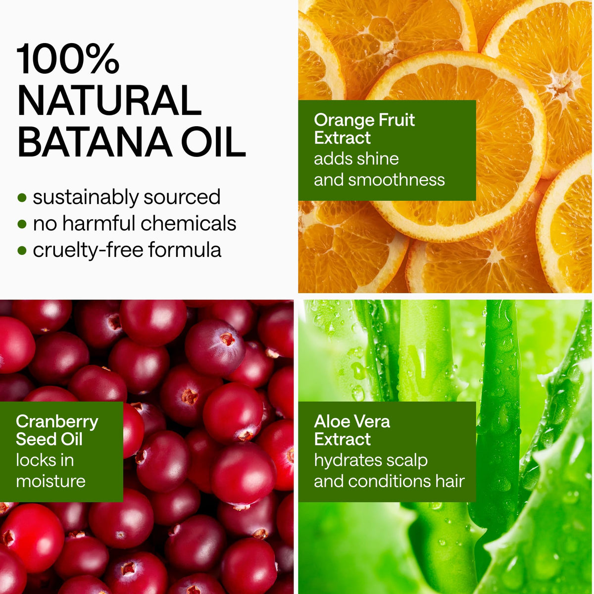 WONDER FAMILY Raw Batana Oil Paste for Hair Growth - Honduran Curly Hair Oil for Frizzy Hair - Aceite de Batana Para La Caida del Cabello - Dry Scalp