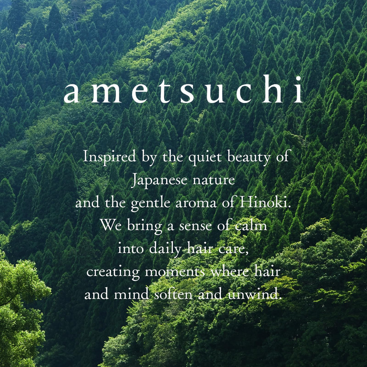 ametsuchi Cure Dry Hair Shampoo and Conditioner Set Beauty & Personal Care ametsuchi