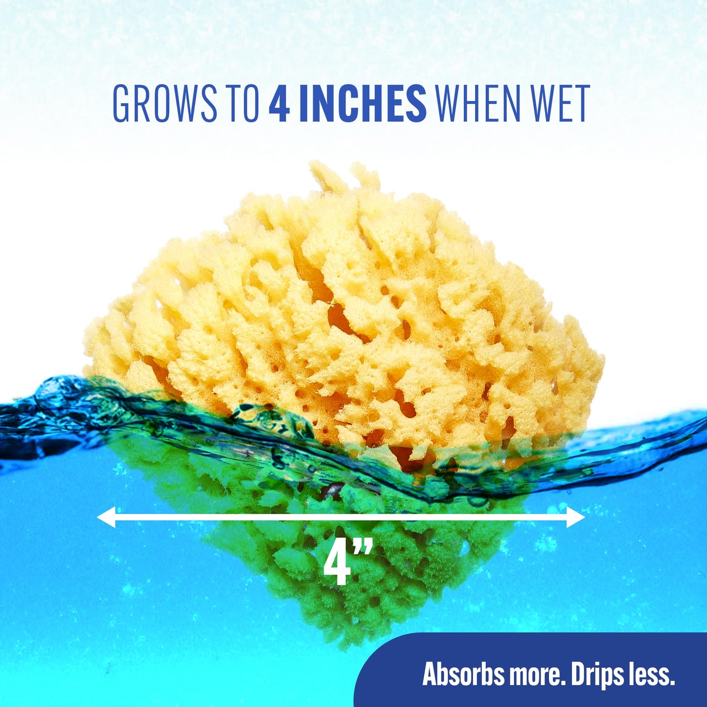 Baby Buddy Baby Bath 4in Yellow Sea Sponge, Absorbent Natural Sea Sponge, Soft on Tender Skin, Biodegradable, Hypoallergenic, Bath Accessories Beauty and Personal Care Baby Buddy