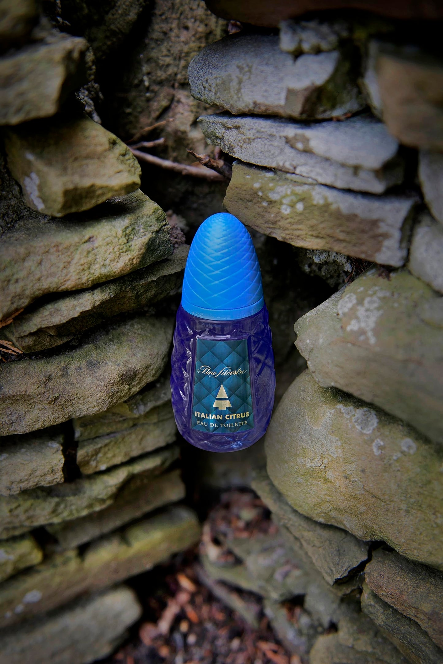Italian Citrus by Pino Silvestre - Perfume for Men - Woody, Aromatic Scent - Blended with Lemon, Pine, Apple, Patchouli, and Musk - for Calm Beauty & Personal Care Pino Silvestre