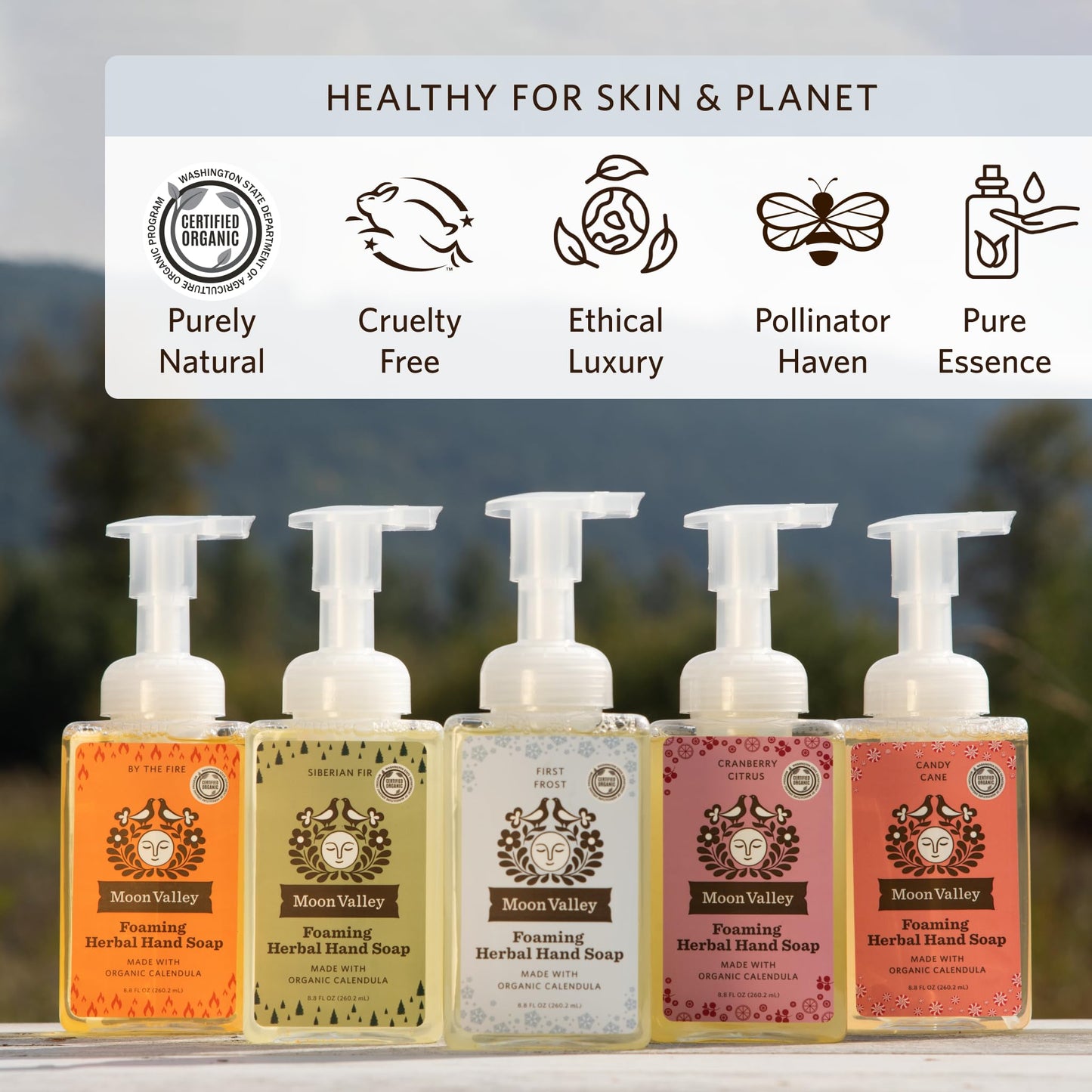 Moon Valley Herbal Foaming Hand Soap, Vegan (First Frost, Recyclable Bottle) Beauty & Personal Care Moon Valley Organics