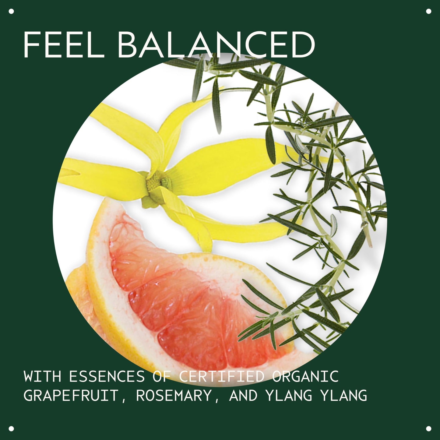 Aveda Chakra 5 Balancing Pure-Fume Mist: Throat | Body & Room Spray | Balances Throat Chakra | With Certified Organic Grapefruit, Rosemary, Ylang Beauty & Personal Care Aveda