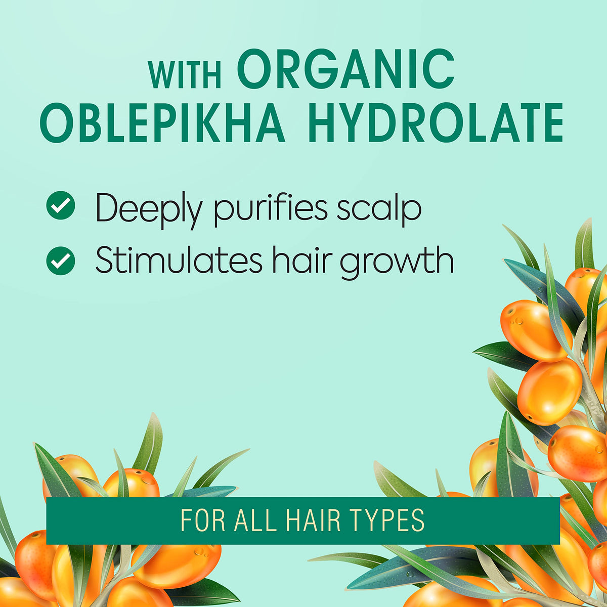 Natura Siberica Oblepikha Sea Buckthorn Scrub for Scalp Sea Buckthorn Oil 200ml Beauty & Personal Care Natura Siberica