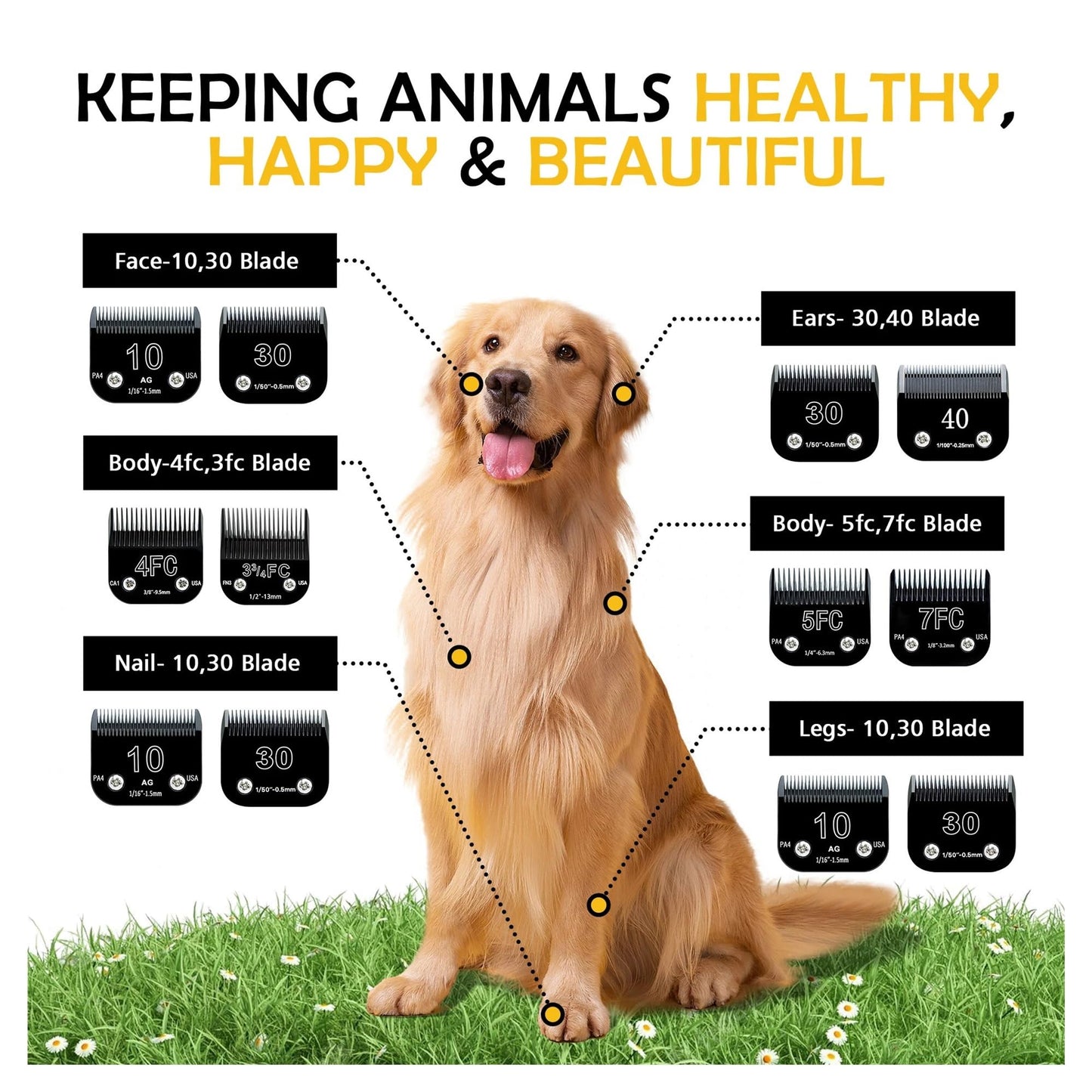 IHFMPFKJ Black Detachable Pet Dog Grooming Clipper Stainless Steel Blades Set,Compatible with Andis,Oster A5,Compatible for Wahl? KM10 Series Beauty and Personal Care IHFMPFKJ