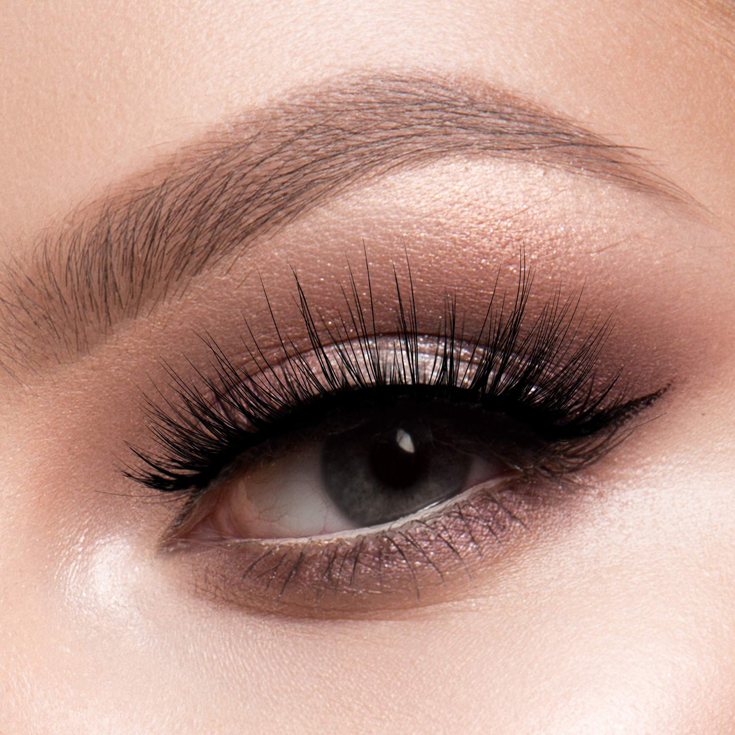 Coco - Wild Cat 3D Lashes Beauty & Personal Care EBIN NEW YORK