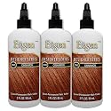 Bigen CN3 Cinnamon Designer Series Semi-Permanent Hair Color (pack of 3) Beauty & Personal Care Bigen
