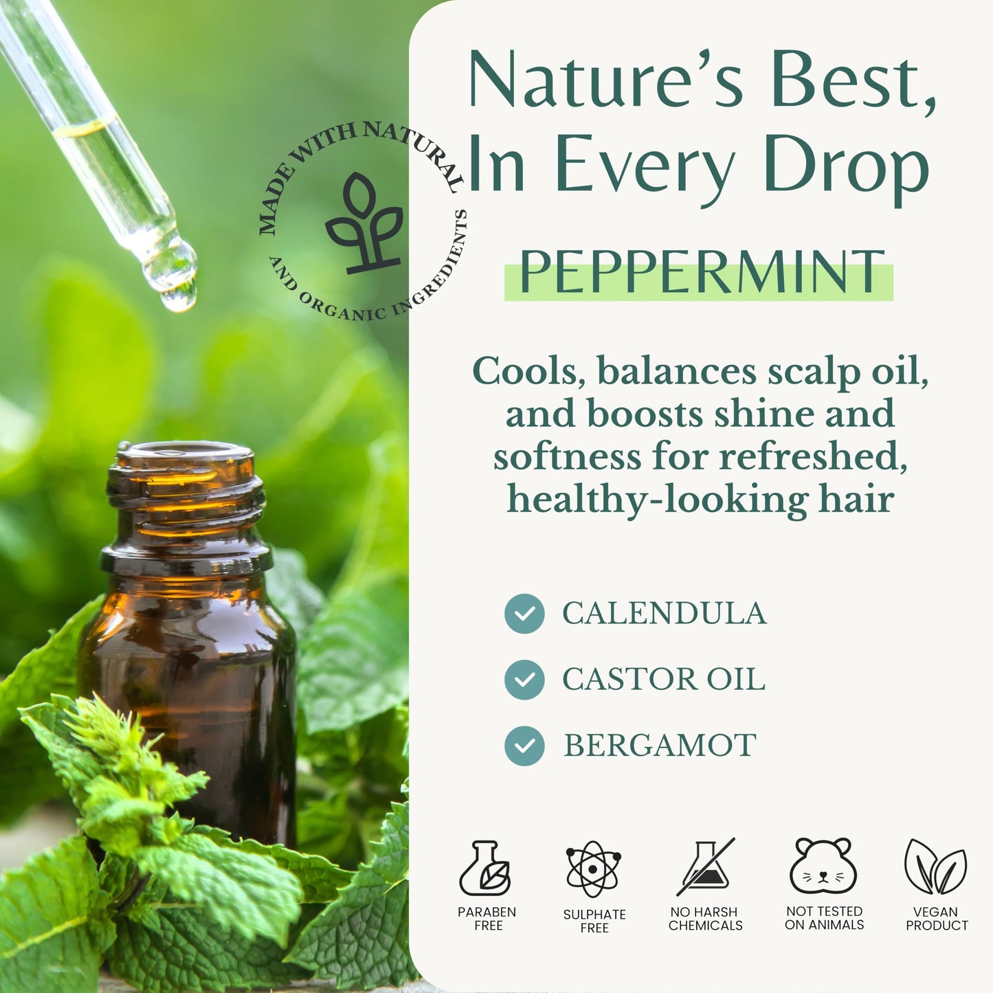 Peppermint Shampoo with Castor Oil & Biotin, Soothes Dry, Itchy Scalp, Strengthens Hair, Reduces Thinning & Hair Loss, Promotes Growth, Adds Volume Beauty & Personal Care EDENIKA BOTANICALS